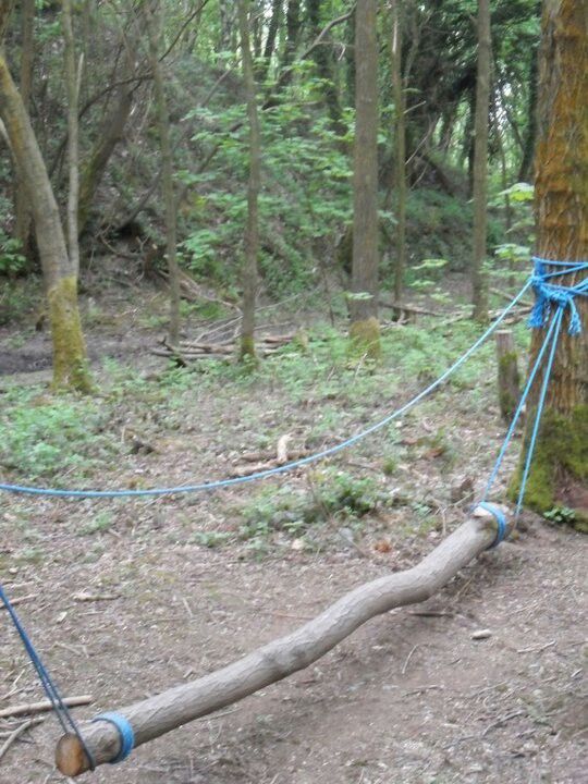 a rope that is attached to a tree in the middle of a forest with blue ropes