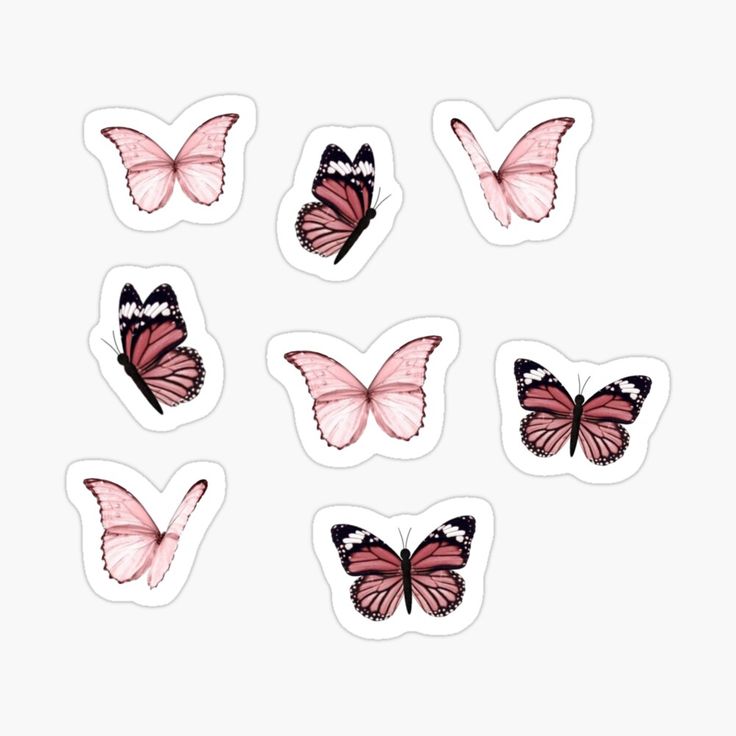 six pink butterflies stickers on a white background