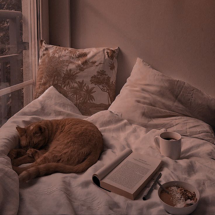 an orange cat laying on top of a bed next to a cup of coffee and book