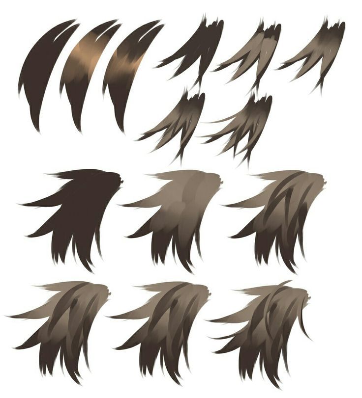 an image of different types of feathers