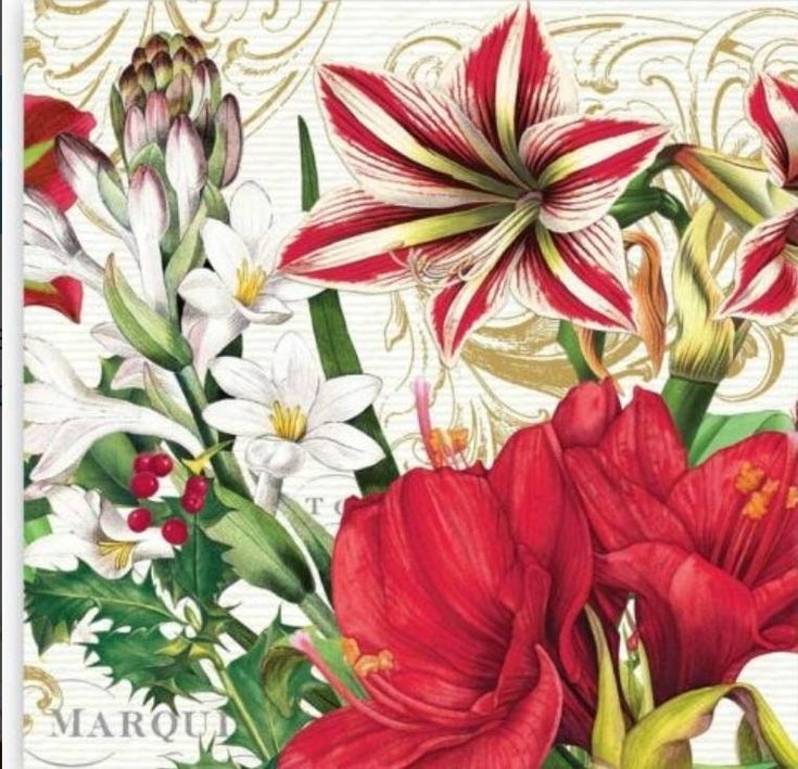 red and white flowers are in front of an ornate background