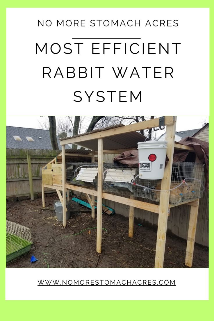 the most efficient rabbit water system is in this backyard with text overlay that reads, no more stomach areas