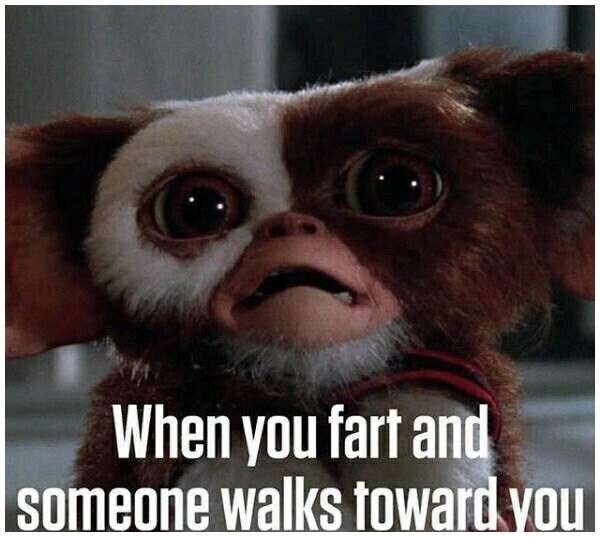 a stuffed animal with the caption when you fart and someone walks toward you