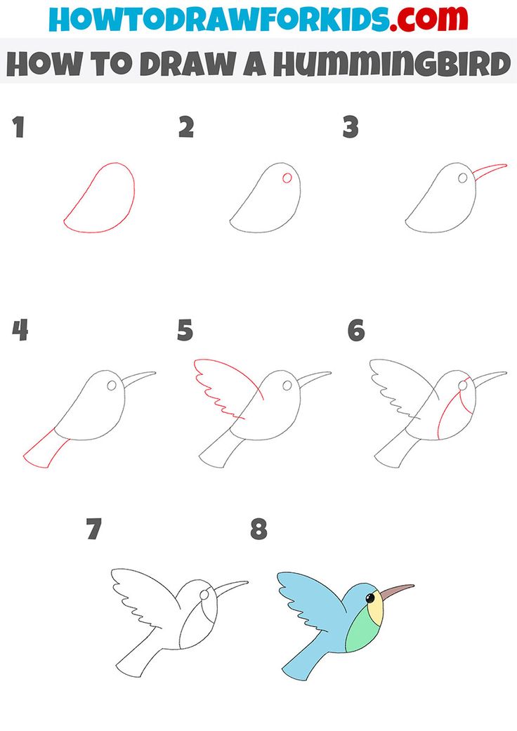 how to draw a hummingbird step by step instructions for kids and beginners with pictures