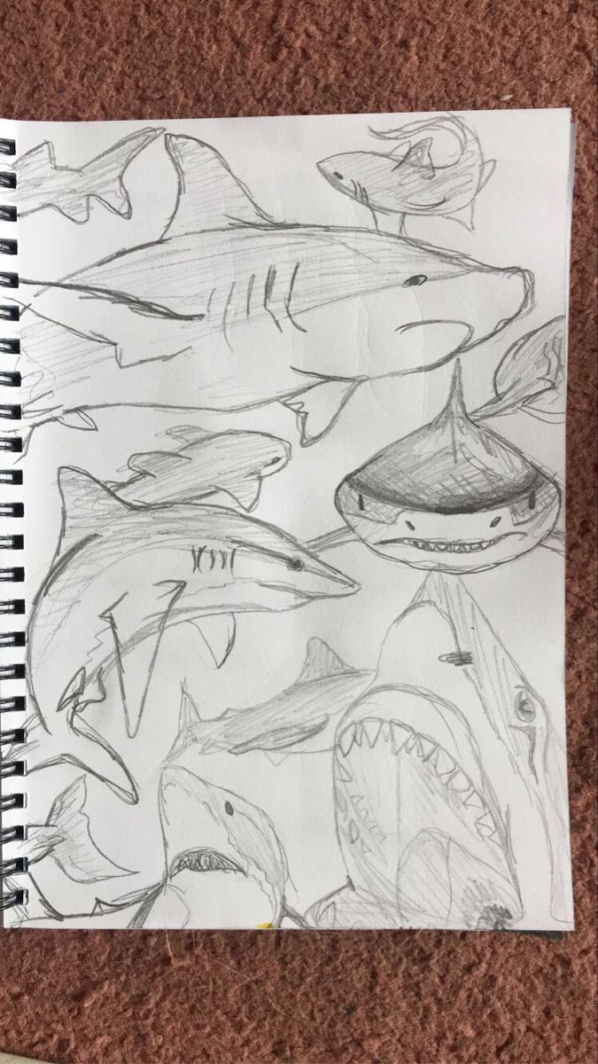 a pencil drawing of sharks and other marine creatures on a piece of paper next to a pen