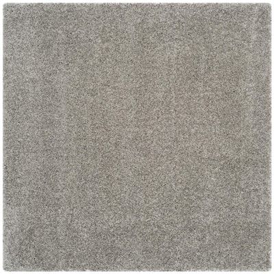 an area rug with grey carpeting on the floor