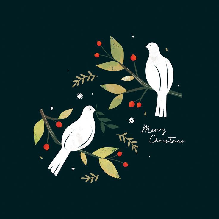 two white birds sitting on top of a tree branch with berries and leaves around them