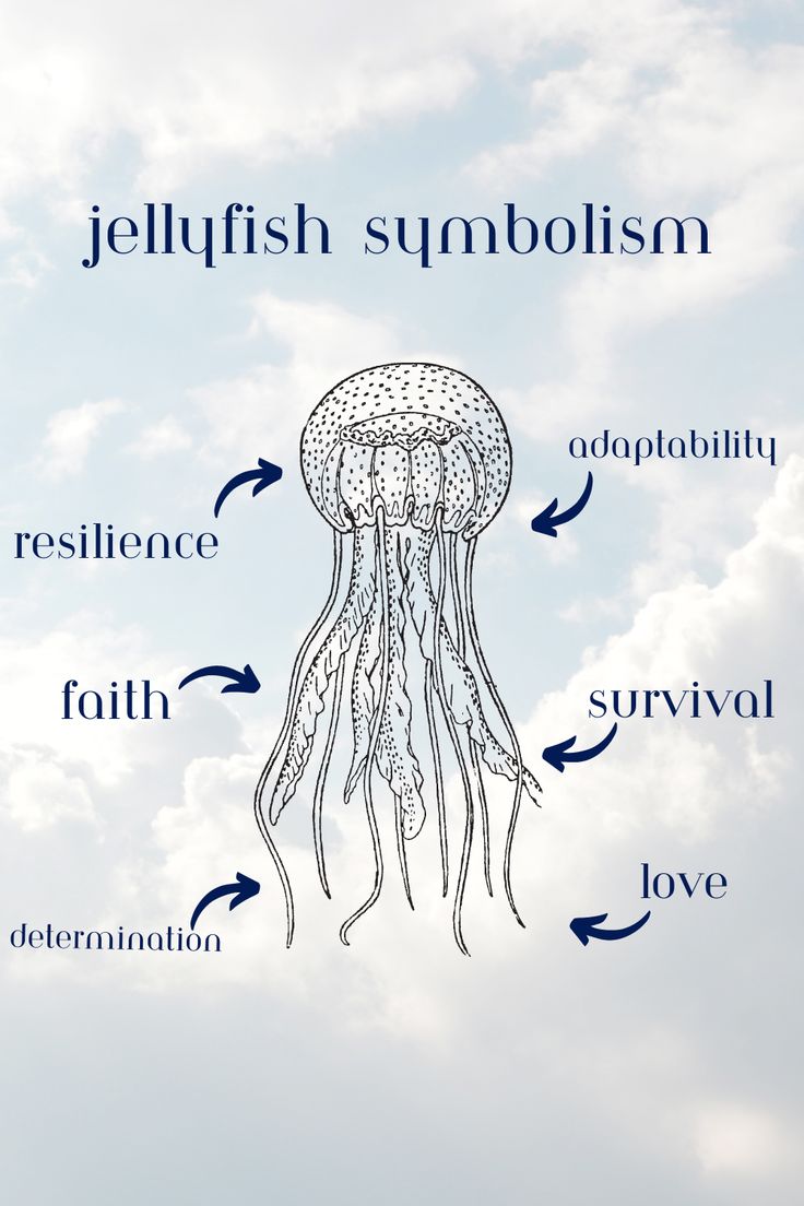 an image of jellyfish in the sky with words below it that read, jellofish symboism