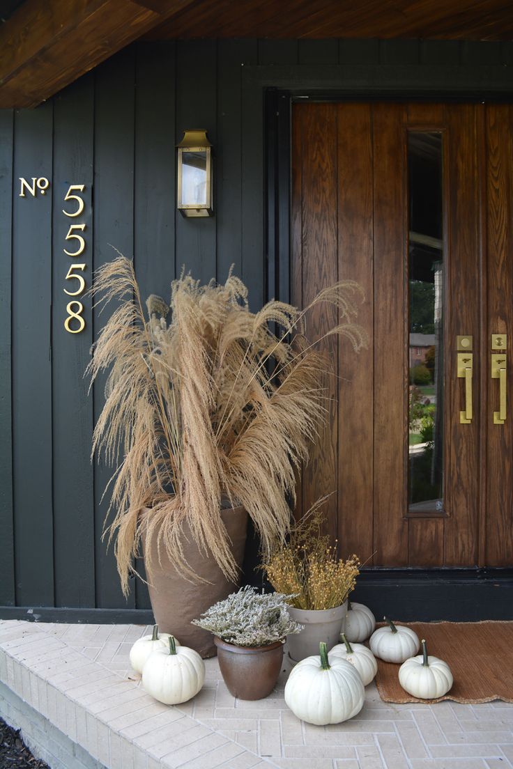 some white pumpkins are sitting in front of a brown door and two large potted plants