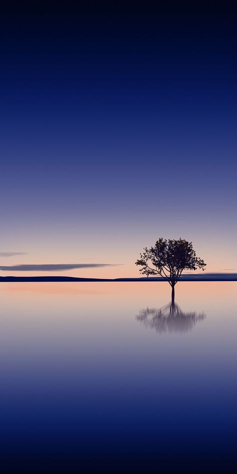 a lone tree stands alone in the middle of a lake at sunset, with its reflection on the water