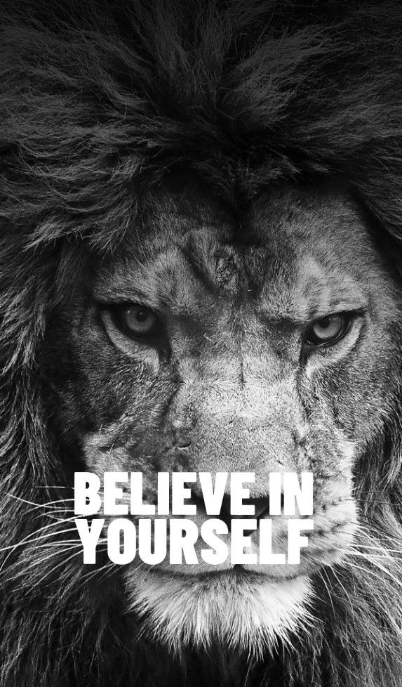 a black and white photo of a lion with the words believe in yourself on it