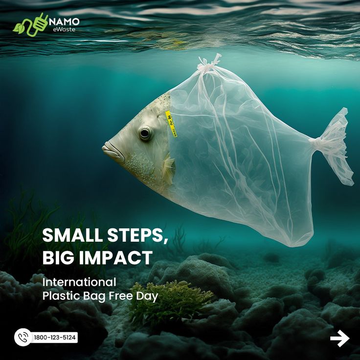 a plastic bag floating in the ocean with text that reads small steps, big impact international plastic bag free day