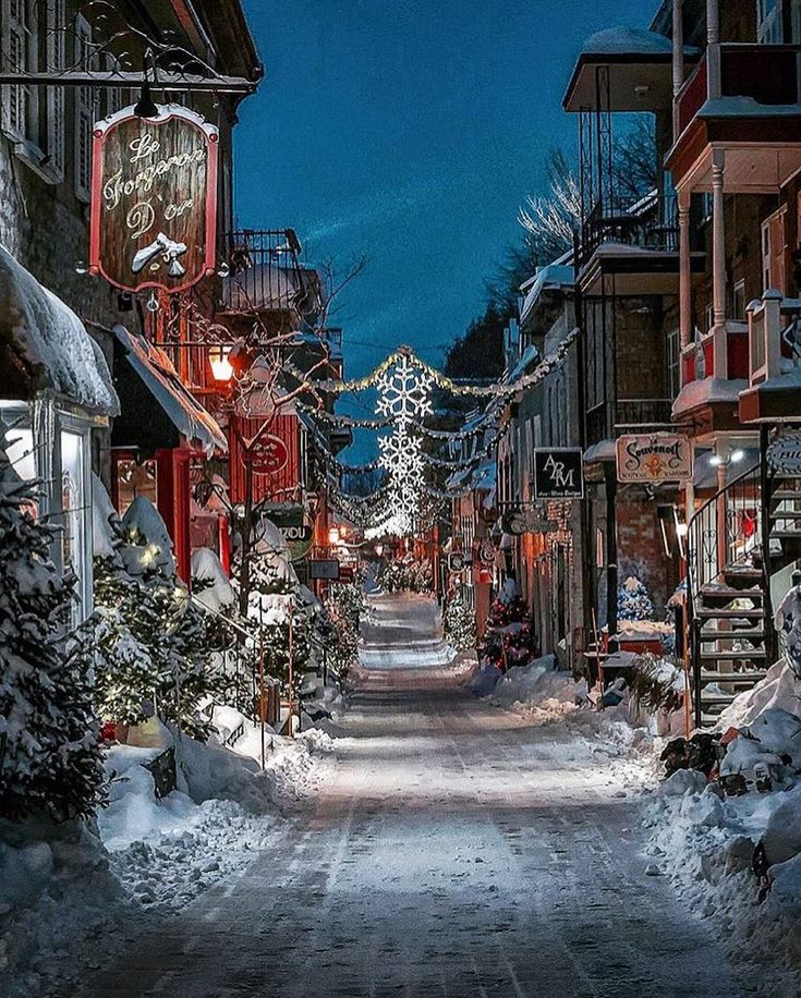 a street is covered in snow and lit up with christmas lights