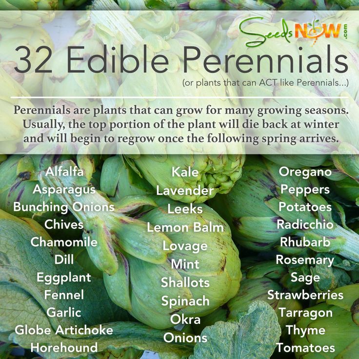 an image of some vegetables that are labeled in the words edible percenals