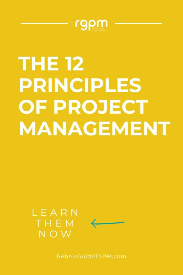 the 12 principals of project management learn them now by robert j schnecker