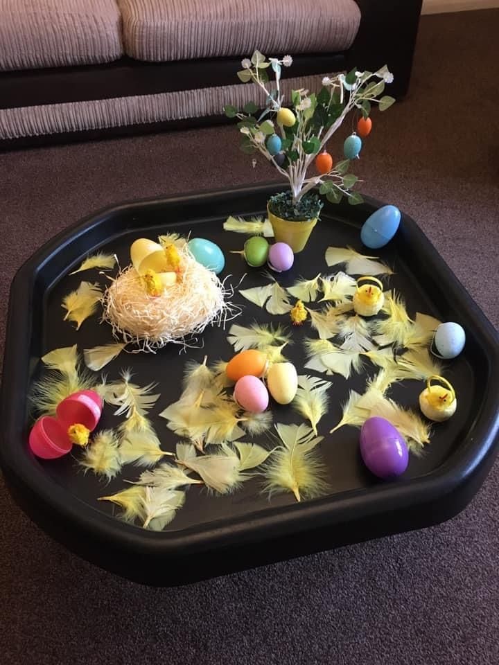 a tray with eggs and feathers on it