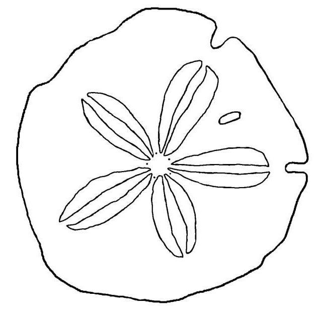 a black and white drawing of a flower on a piece of paper with the words, i