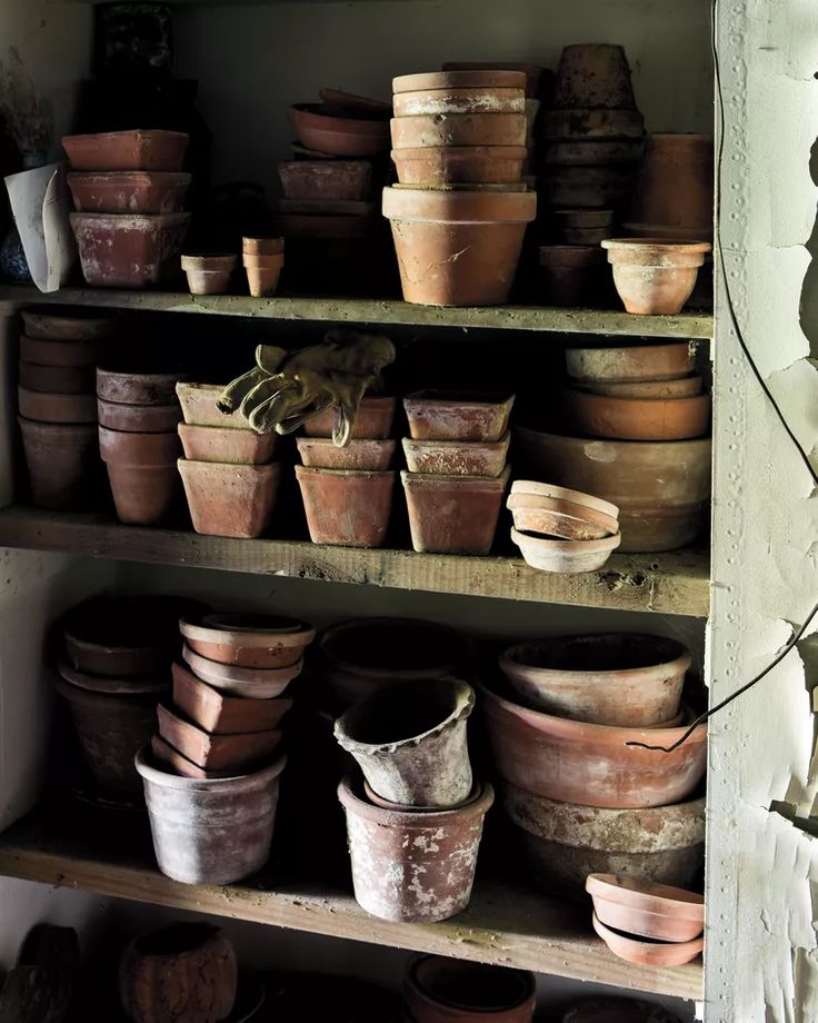 many pots are sitting on shelves in a room