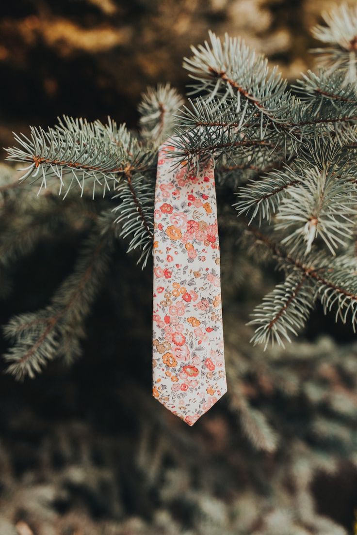 a tie hanging from a pine tree branch