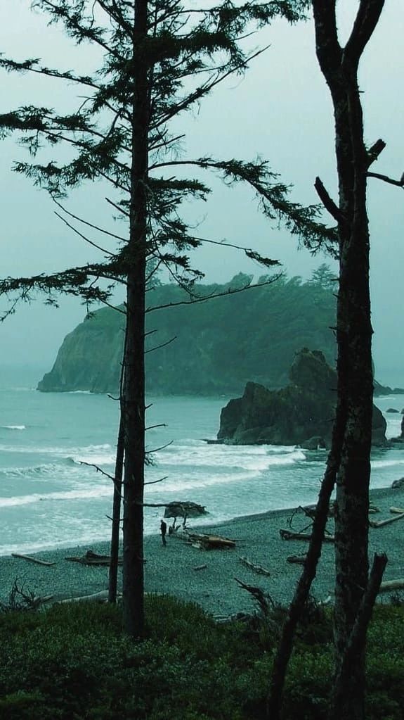 the beach is surrounded by tall trees and foggy skies, with people walking in the distance