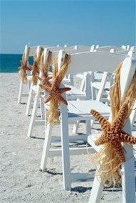 white chairs lined up on the beach with starfishs tied to them for decoration