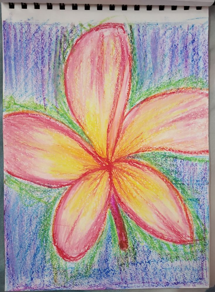 a drawing of a flower with colored pencils