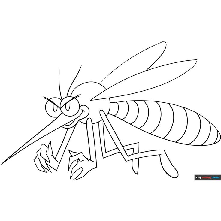 Free Mosquito Coloring Page for Kids Mosquito Drawing, Insect Coloring Pages, Easy Drawing Guides, Free Printable Coloring Sheets, Drawing Guides, Odd Stuff, Arts Ideas, Coloring Sheets For Kids, Kids Print