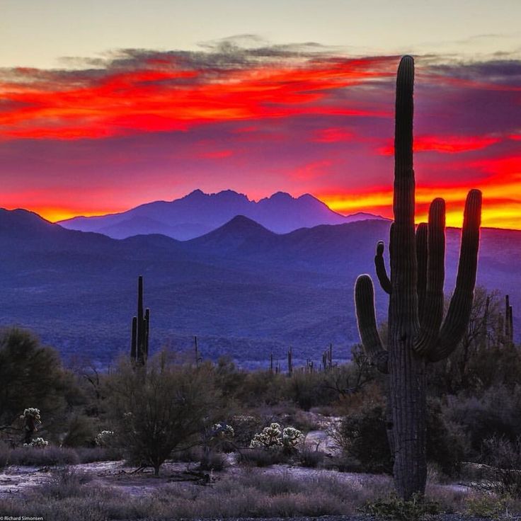 the sun is setting in the distance behind a cactus and mountains with red, yellow, and blue colors