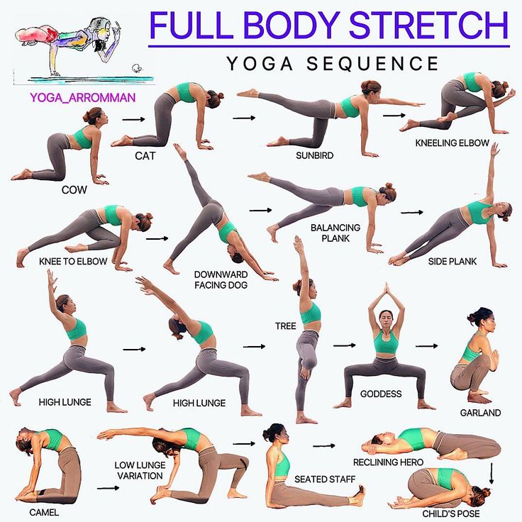 the full body stretch yoga sequence for beginners