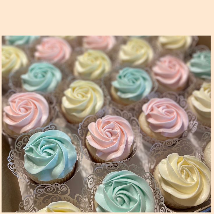 cupcakes with pastel frosting in a box