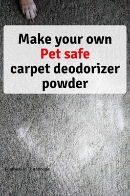 a dog laying on top of a carpet next to a sign that says make your own pet safe carpet deodorizer powder