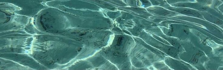 the water is very clear and blue with some ripples on it's surface