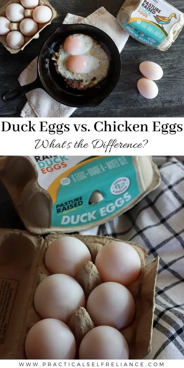 eggs are shown in an egg carton and on the table with other food items