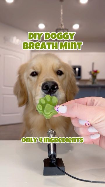 a person holding a dog's paw with the words diy doggy breath mint on it