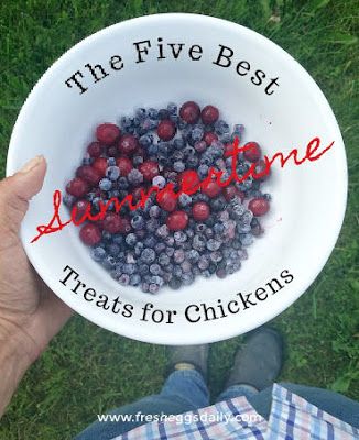 a person holding a white bowl filled with blueberries and raspberries on top of green grass