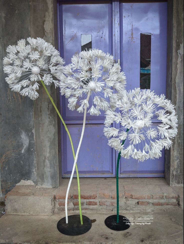 two vases with white flowers in front of a purple door