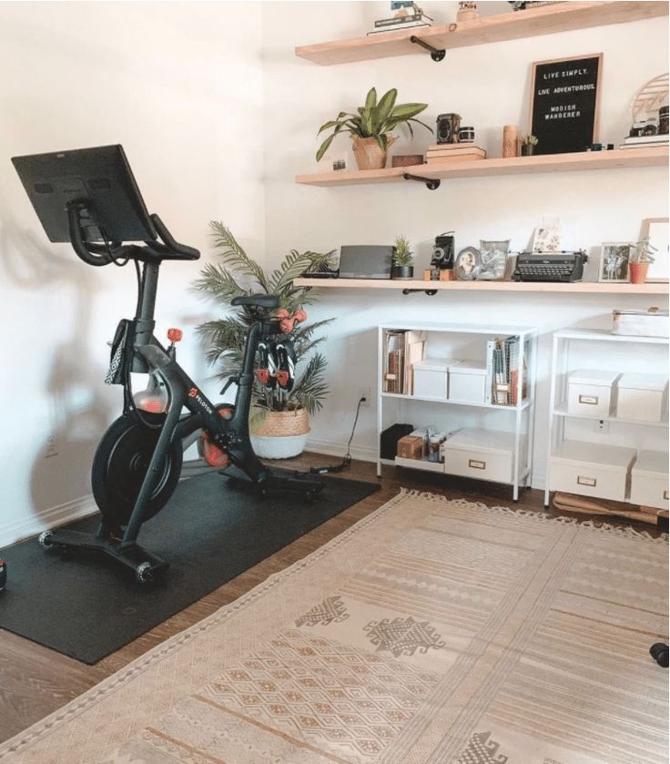 a home gym with an exercise bike and potted plants on the shelves above it