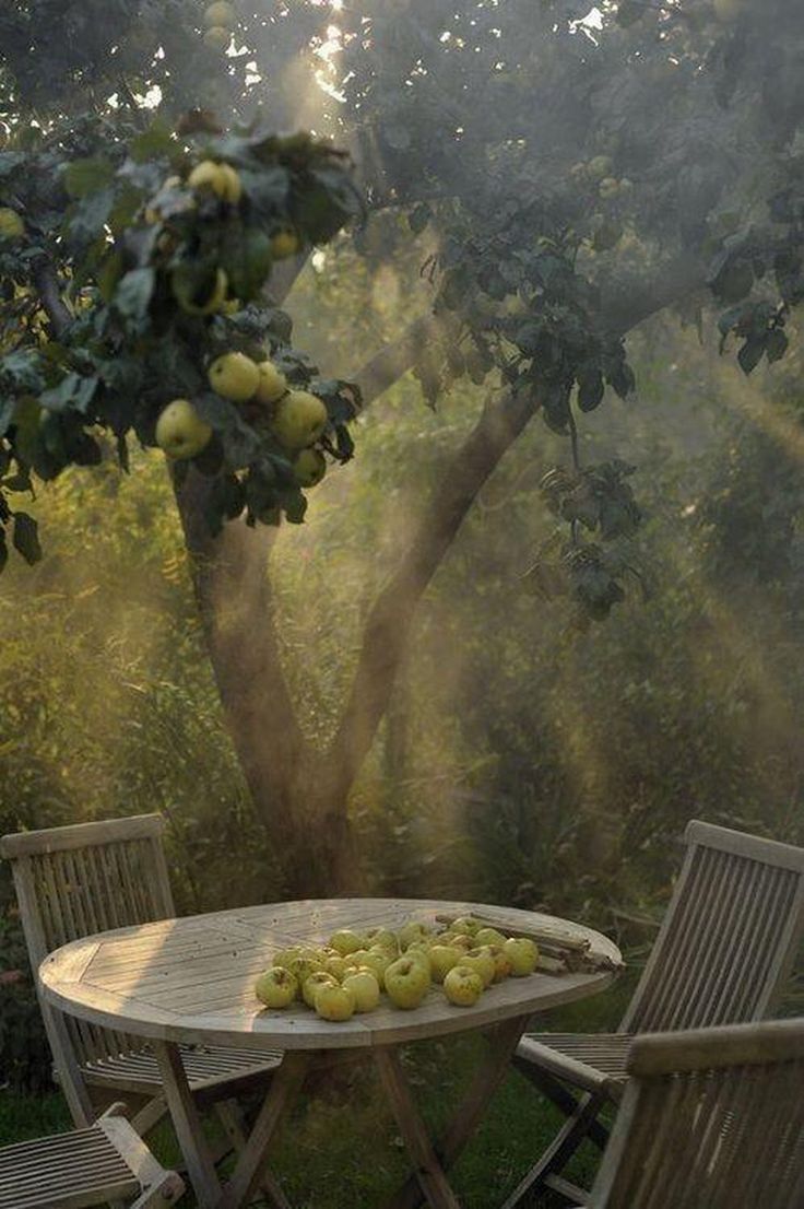 an outdoor table and chairs with apples on it