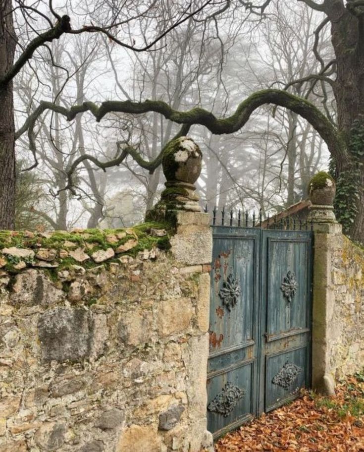 an old stone wall and gate with moss growing on it