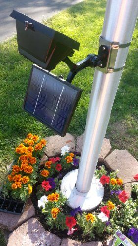 a solar powered street light with flowers around it