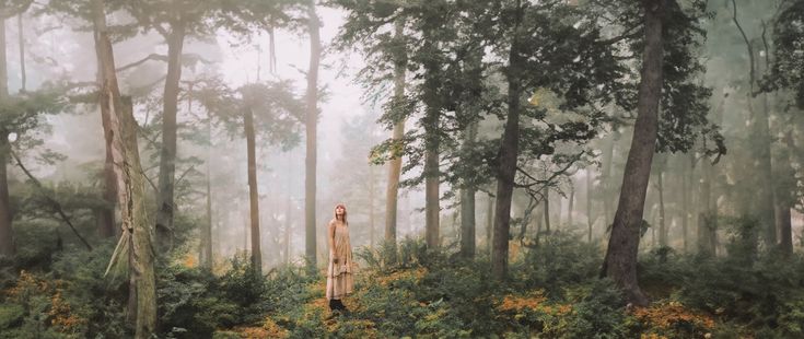 a woman standing in the middle of a forest surrounded by tall trees and bushes on a foggy day