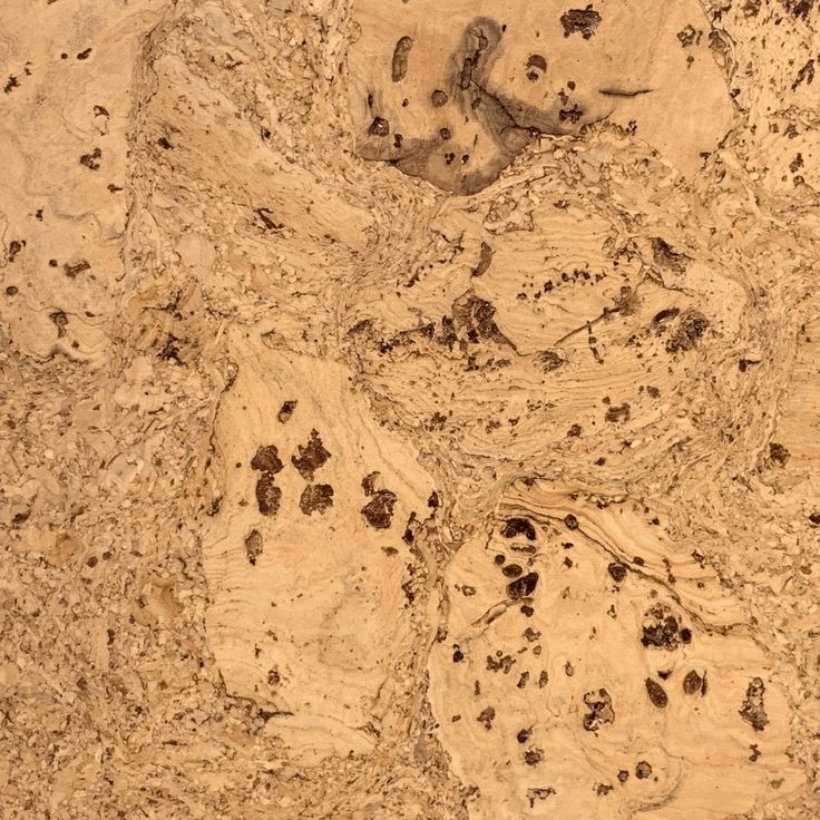 an image of some rocks that are in the sand and dirt with little holes on them