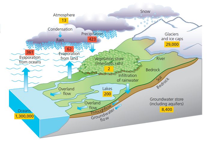 the water cycle is shown in this diagram, and shows how it's different levels