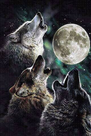 three wolfs looking up at the moon with captioning in spanish above them