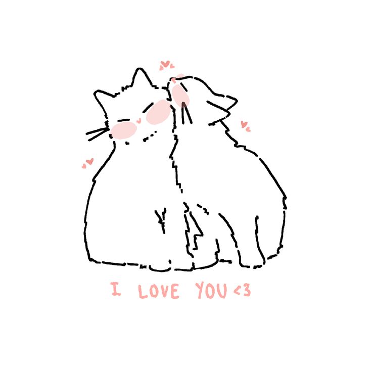 two cats sitting next to each other with the words i love you 3 written on them