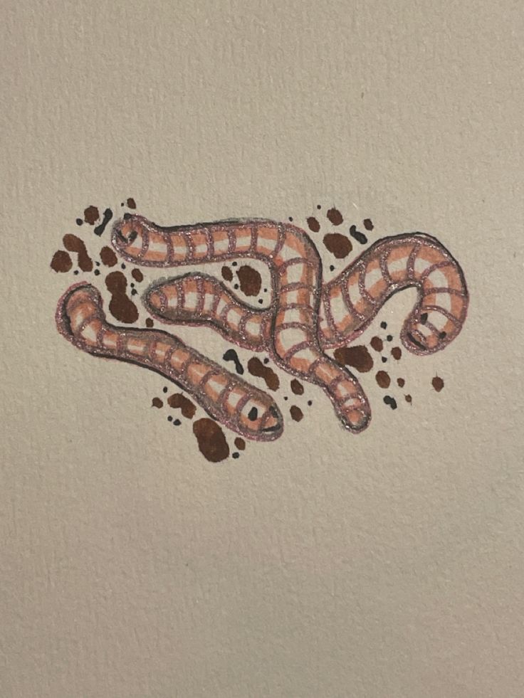 Worms drawing cute mud doodle sketch ink marker Worm Drawing, Cacing Tanah, Ballpoint Pen Art, Color Drawing Art, Art Journal Therapy, Bullet Journal Themes, Ap Art, Realistic Drawings, Pen Art