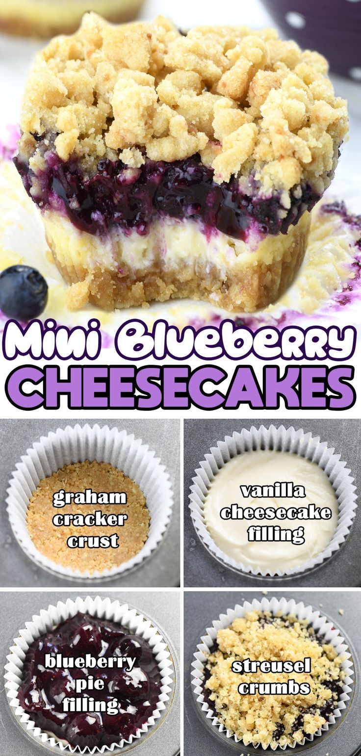 mini blueberry cheesecakes with crumbled toppings on top and below