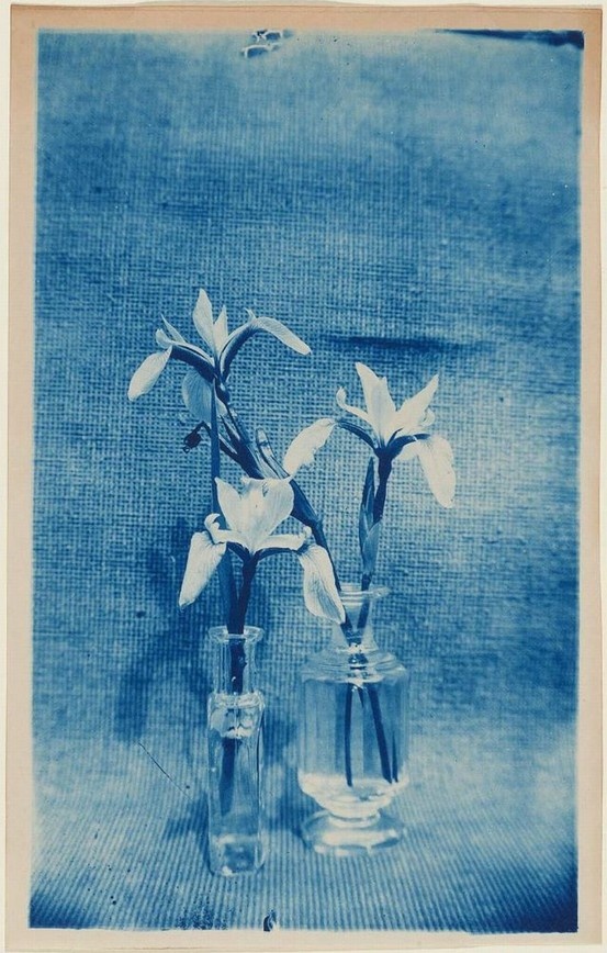 two glass vases with flowers in them on a blue clothed tablecloth background