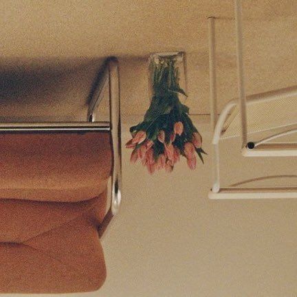 a bunch of flowers that are hanging from the ceiling