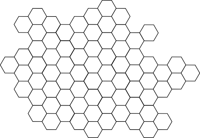 the hexagonal pattern is shown in black and white